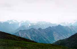 ��� ����������