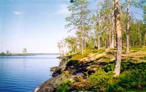 ��. ������